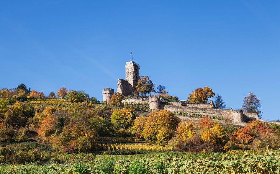 Wachenheim Castle, Wachenheim, Germany, Germany